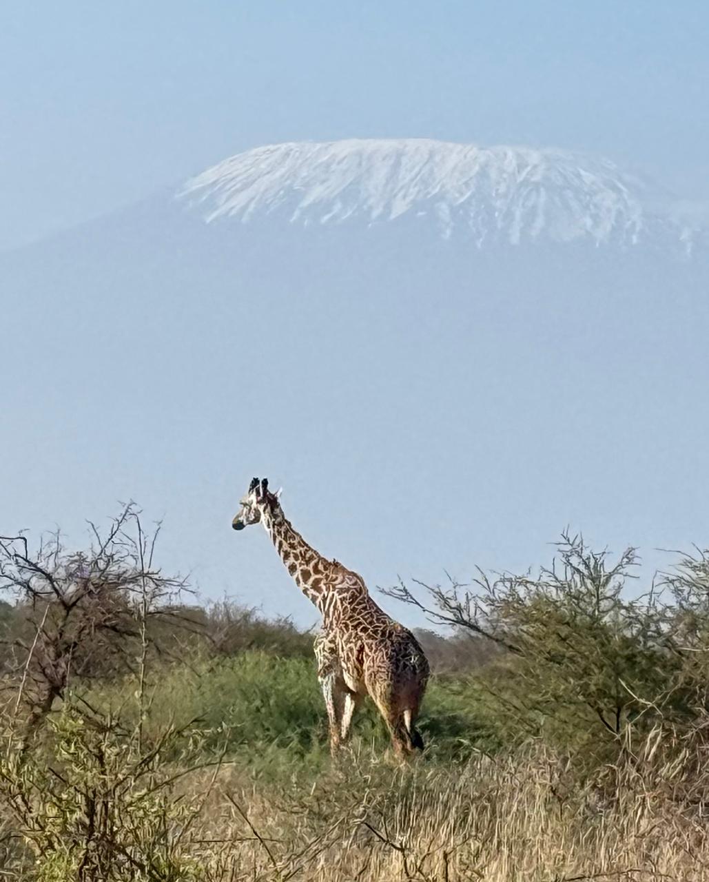 Amboseli National Park