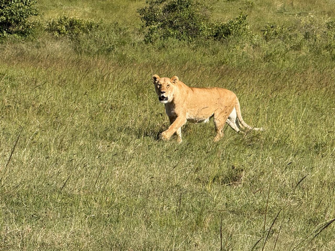 Serengeti National Park