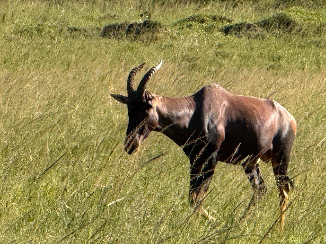 Tsavo East National Park