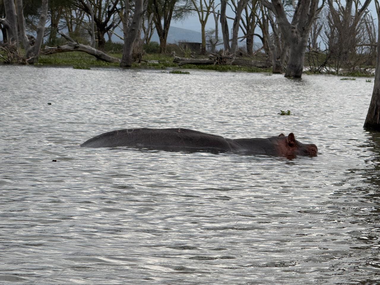 Lake Naivasha