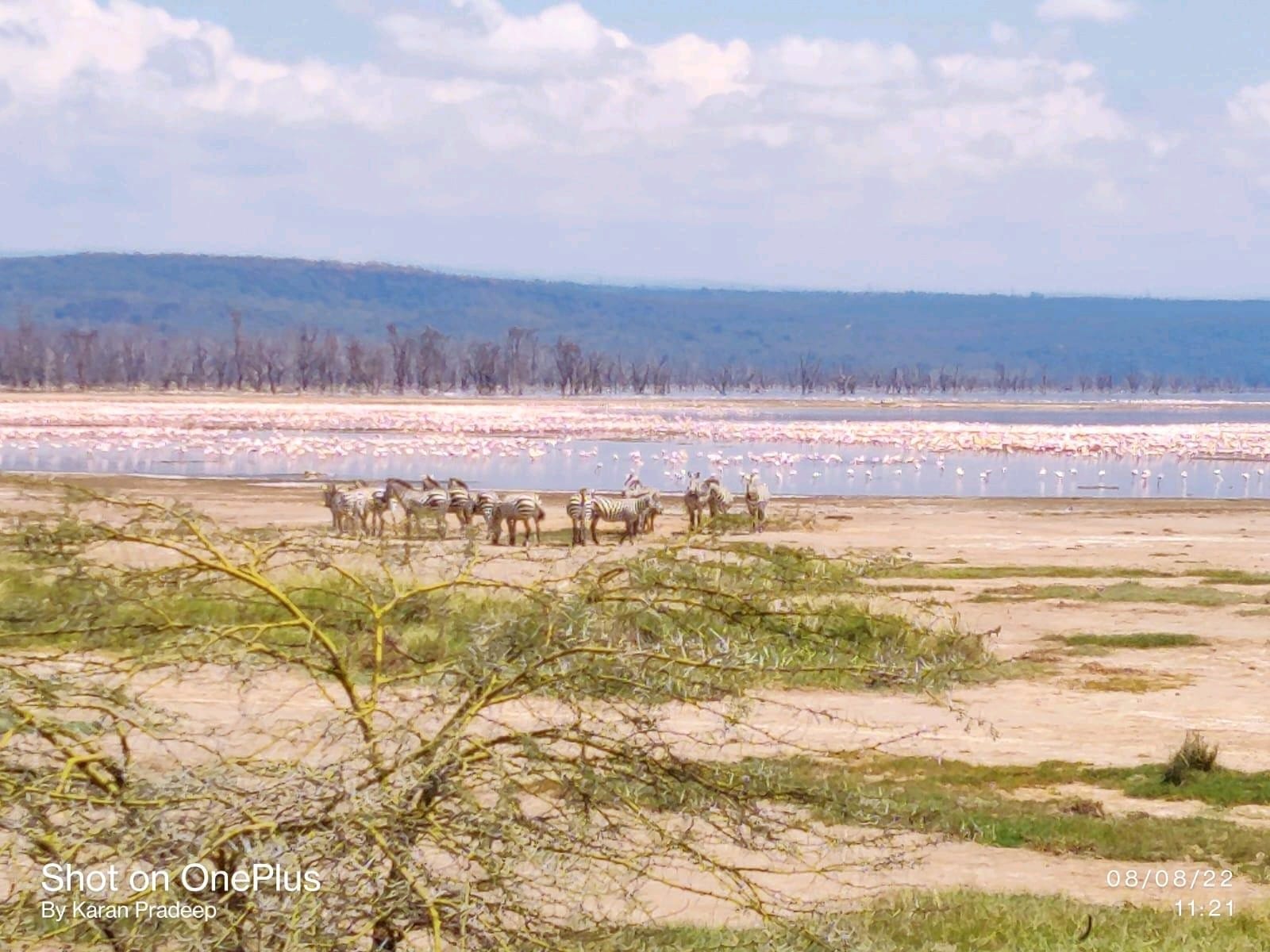 Lake Nakuru National Park