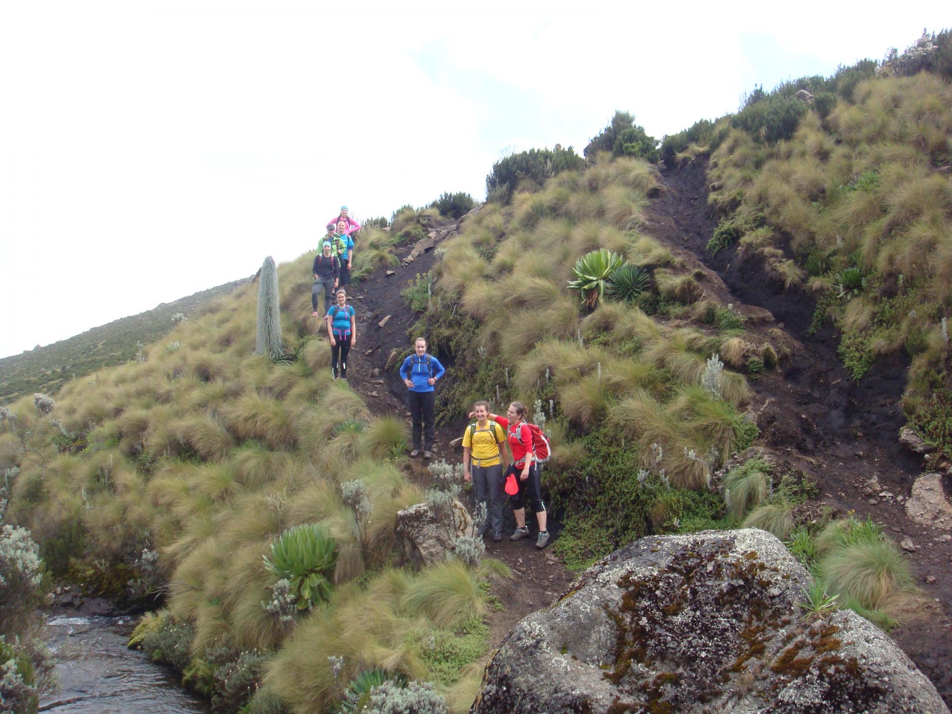 Mount Kenya National Park