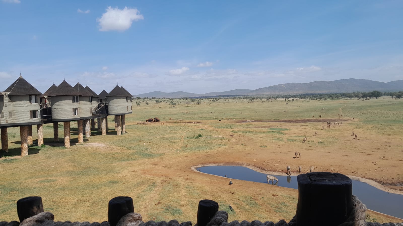 10 Days Kenya & Tanzania Grand Safari