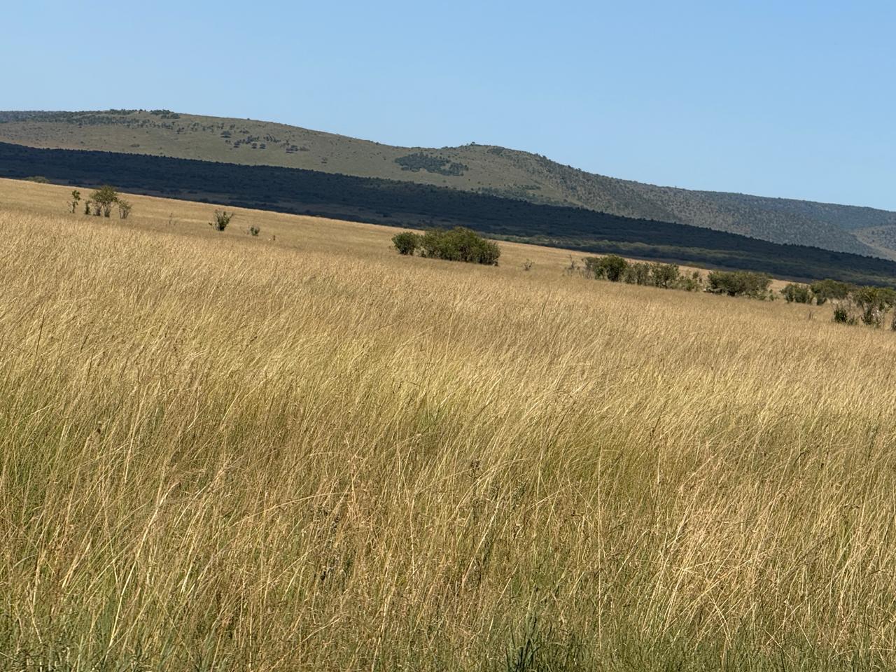 5 Days Kenya Classic Safari