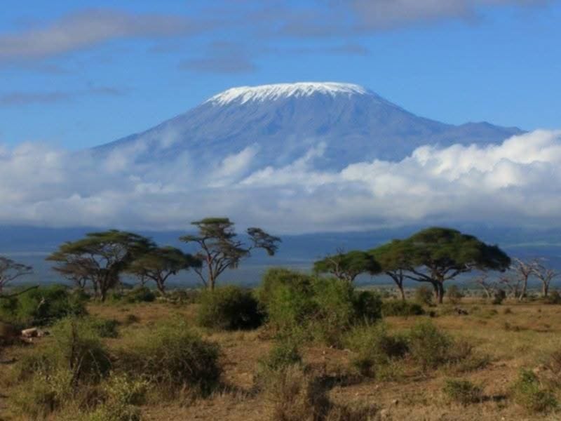 4 Days Kilimanjaro Day Hike & Safari